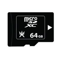 Alpha Omega Players Carte MicroSD  64 Go pour Nintendo Switch - 3700031727484
