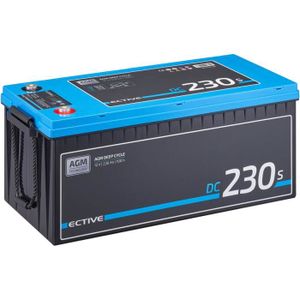 BATTERIE VÉHICULE ECTIVE 12V 230Ah AGM batterie decharge lente Deep 