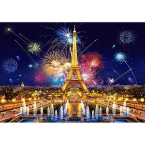 PUZZLE Puzzle Adulte Vue Sur La Tour Eiffel Du Trocadero 