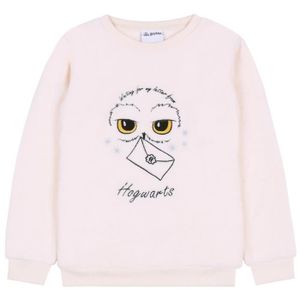 Pull harry potter new arrivals fille 10 ans