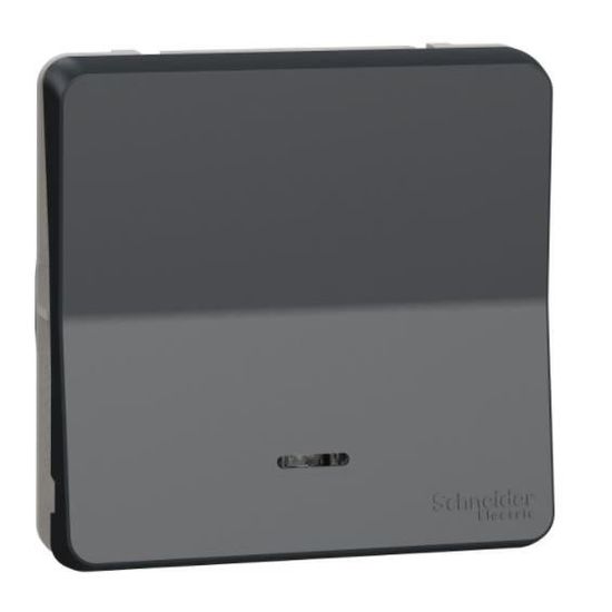 Schneider Electric MUR35028 Bouton Poussoir Lumineux Mureva Styl - 250V Gris