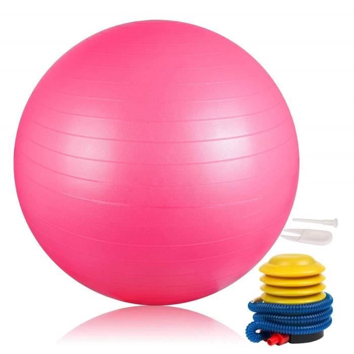 DAMIGRAM Ballon de Gymnastique 65cm, Ballon Suisse pour La Forme Physique, Balle de Pilates-Ballon Gym pour l'exercice, Professio