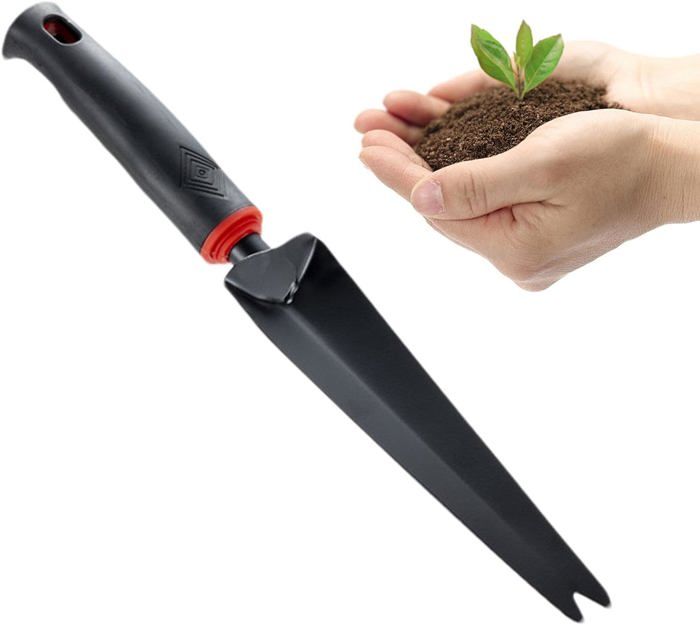 Lot De 2 Rosiers 'Noir Magic' à Racines Nues - Fleurs Rouge Foncé Presque Noires, Vivaces Et Rustiques - 10