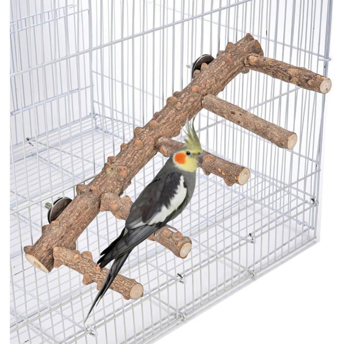 Perchoirs en bois naturel pour perroquets 30 5 cm support échelle accessoires pour cages