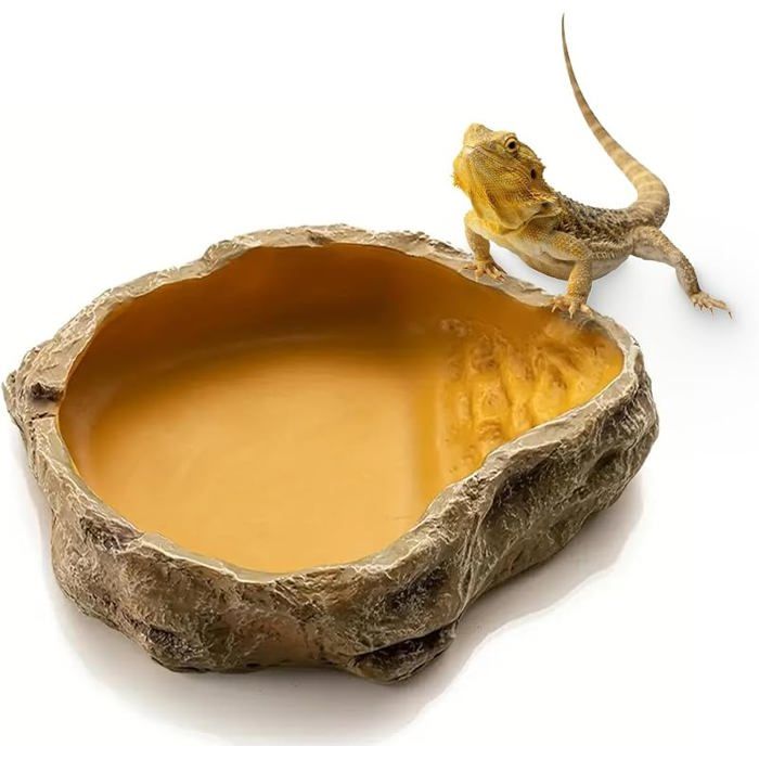 Bol à eau pour terrarium accessoire pour tortues bol à eau pour reptiles bol à nourriture bol à eau bol 15x11x3.5 GAMELLE