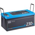 ECTIVE 12V 230Ah AGM batterie decharge lente Deep Cycle DC 230S avec écran LCD/ marine, moteur electrique bateau, camping ca-1
