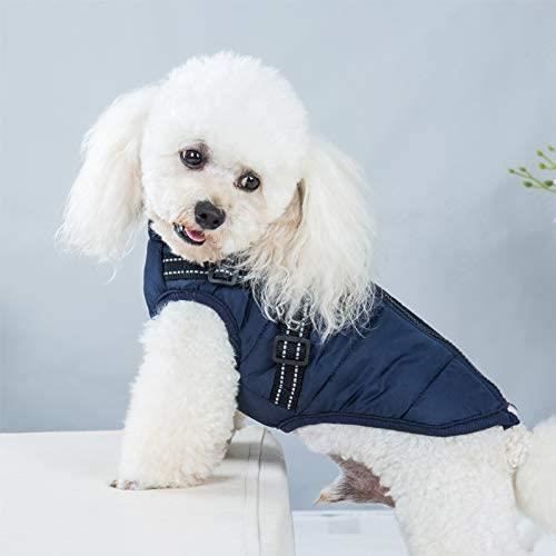 Manteau Hiver Chien GIBZ - Coupe-vent, Avec Harnais Intégré, Réglable, Tailles S à XL, Beige