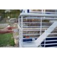 Cage pour lapins avec accessoires 78 x 48 x 65 cm - BARN80 -  FERPLAST-3