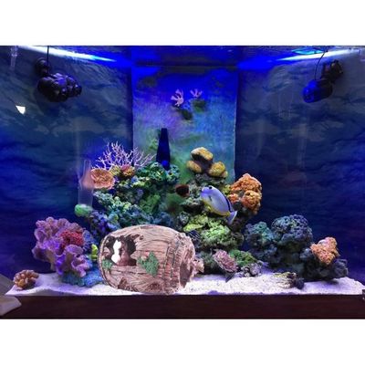 Décoration d'aquarium en Résine Artificielle Tonneau de Vin Aquarium  Paysage Fish Tank Ornement Boîte de Reptile (Seau cassé)[481] - Cdiscount  Animalerie