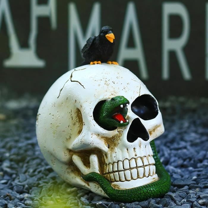 Modèle De Crâne-Tête De Mort Humain Taille Réelle, Décoration De Squelette  En Résine, Décorations D'Halloween Pour La Maison[u6163] - Cdiscount Maison