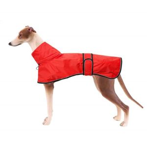 manteau whippet
