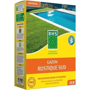 GAZON NATUREL BHS Gazon rustique sud + engrais - 3 kg