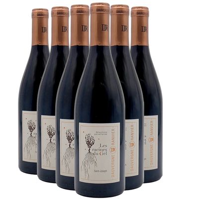 Dauvergne - Ranvier Saint-Joseph Les Racines du Ciel 2023 - Vin Rouge de la Vallée du Rhône (6x75cl).