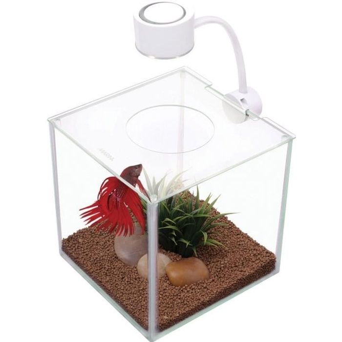 Aquarium Betta Kit Cubus En Verre Avec Éclairage LED - 3,4 Litres, Design Moderne Pour Poisson Combattant