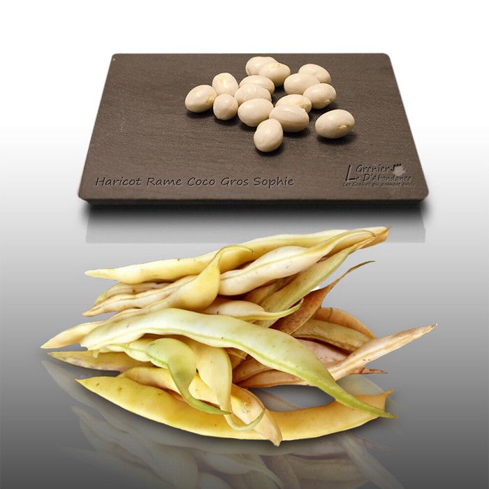 Comparer les prix de 75 grammes de graines à semer - Le Grenier d' Abondance - HARICOT à rames Coco Gros Sophie - Phaseolus vulgaris