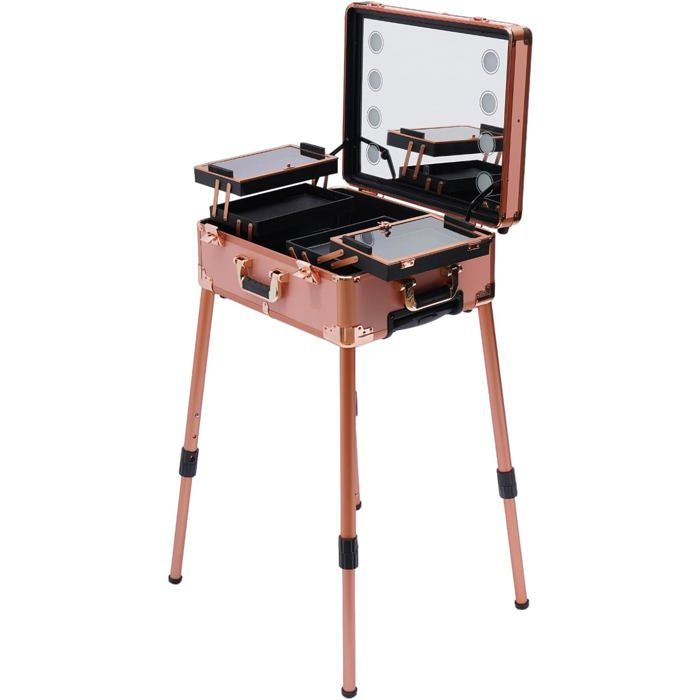 Valise cosmétique à roulettes - Valise de maquillage - Miroir - Éclairage de coiffeuse professionnelle