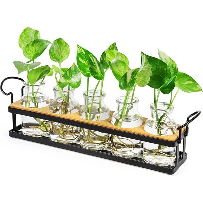 Vase en Verre Station de Propagation Support en métalJardinière rétro en Verre Tube à essai pour Pntes Noir noir VASE
