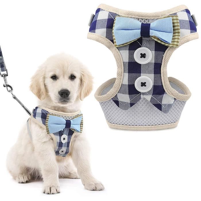 Meilleurs prix pour Gilet Harnais et Laisse pour Chien,ANNEE FLY Harnais Rembourré en Mesh Doux pour Chiots, pour pour petits et moyens chiens chats -