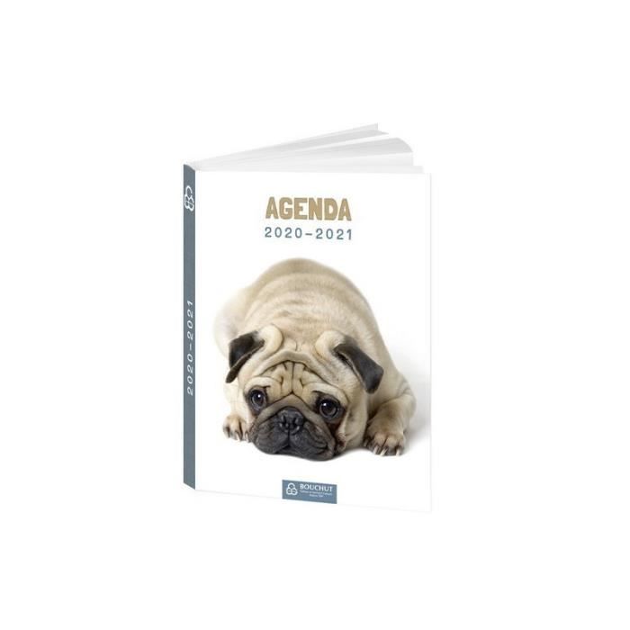 Agenda Scolaire 2020 2021 17 X 12 Cm Chien Achat Vente Agenda Organiseur Agenda Scolaire 2020 2021 Cdiscount