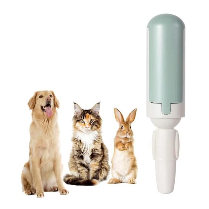 Brosse anti poils - Rouleau réutilisable - Enlève les poils - Nettoie les surfaces - Vert