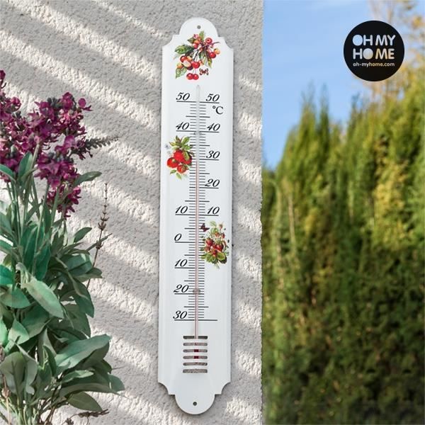 Thermometre Exterieur Jardin XL Mural Décoratif à fleurs et fruits blanc -  Cdiscount Jardin