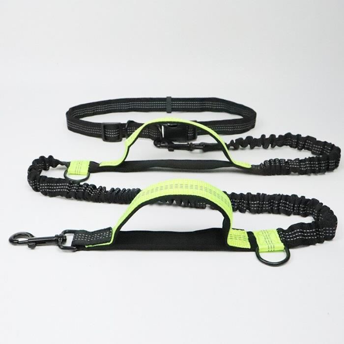 Set 2 Pièces Laisse Chien élastique + Bol De Voyage – Absorbe Les Chocs, Léger, Pliable – Pour Promenades Et Randonnées