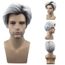 perruques cheveux gris blancs