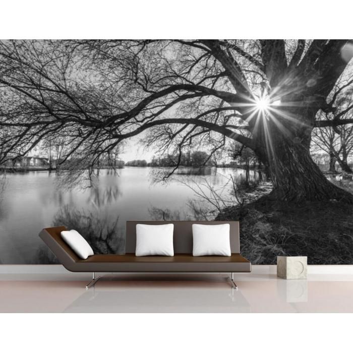 Papier Peint Noir et Blanc Nature Paysage Lac Forêt Arbres Crépuscule ...