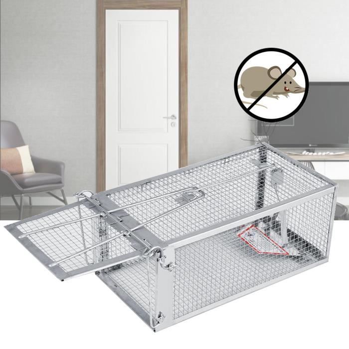 Cage De Capture Pour Rats Réutilisable - Piège Sans Cruauté, Socle En Bois FSC, Facile à Utiliser