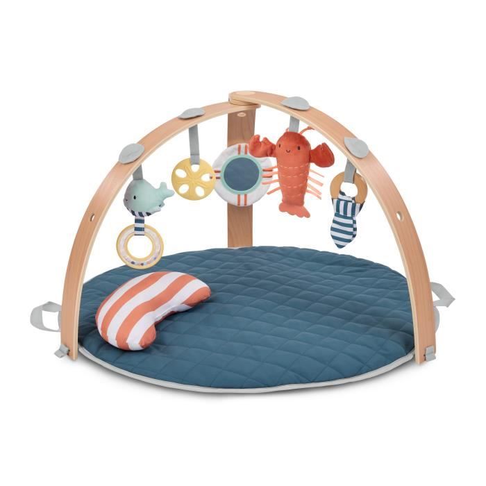 INGENUITY Tapis déveil réversible bébé évolutif - Marin - pliable arche de jeu en bois amovible 5 jouets miroir coussin