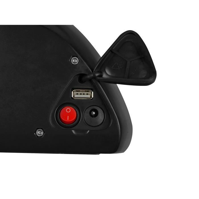 Batterie Li-ion 36V 15,6Ah Pour Vélo électrique - Type Down Tube - 561Wh - Avec Chargeur - Marque HANIWINNER