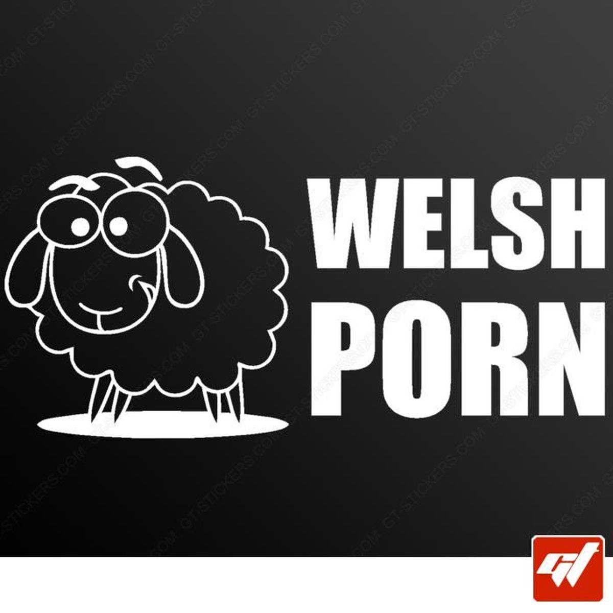 Sticker Autocollant Tuning Jdm Humour Welsh Porn Mouton Cdiscount Maison