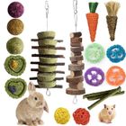 Jouets de mastication - PZCC - 16 pièces - Bois naturel - Pour petits rongeurs - Soins dentaires