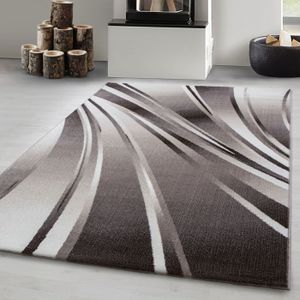 TAPIS Tapis de salon moderne à design Tapis à poils ras, couleurs tendance, tapis moelleux, Marron Tapis 140 x 200 cm