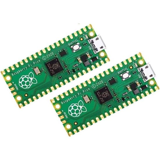 Carte Microcontrôleur Flexible Raspberry Pi Pico Basée Sur Le ...