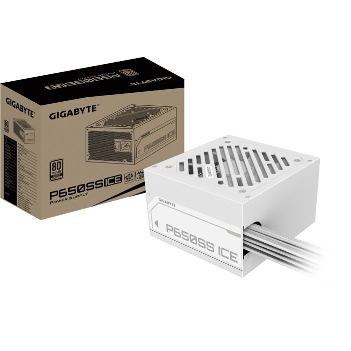 GIGABYTE P650SS ICE - vue 8