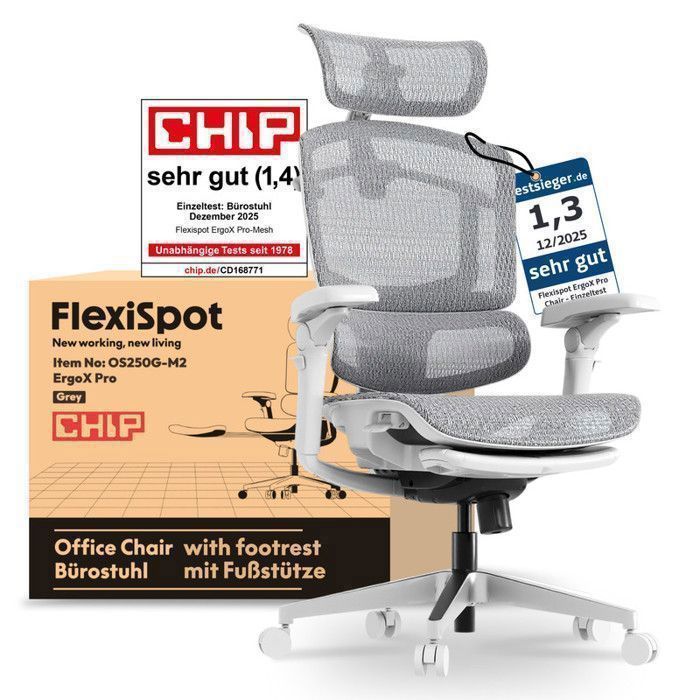 FlexiSpot Chaise Ergonomique avec Repose-Pieds Charge 250 kg Réglage à 12 Niveaux Accoudoirs 7D Lombaire 5D Maille Gris