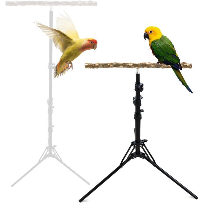 Perchoir en bois de poivre naturel hauteur réglable idéal pour oiseaux de petite et moyenne taille usage intérieur et extérieur