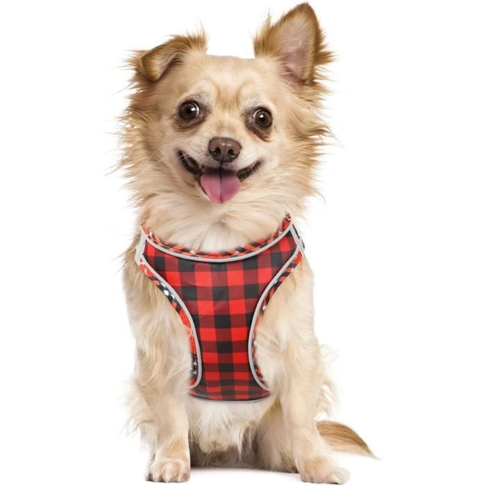 HARNAIS POUR PETIT CHIEN | Jack™ – Wouf chien
