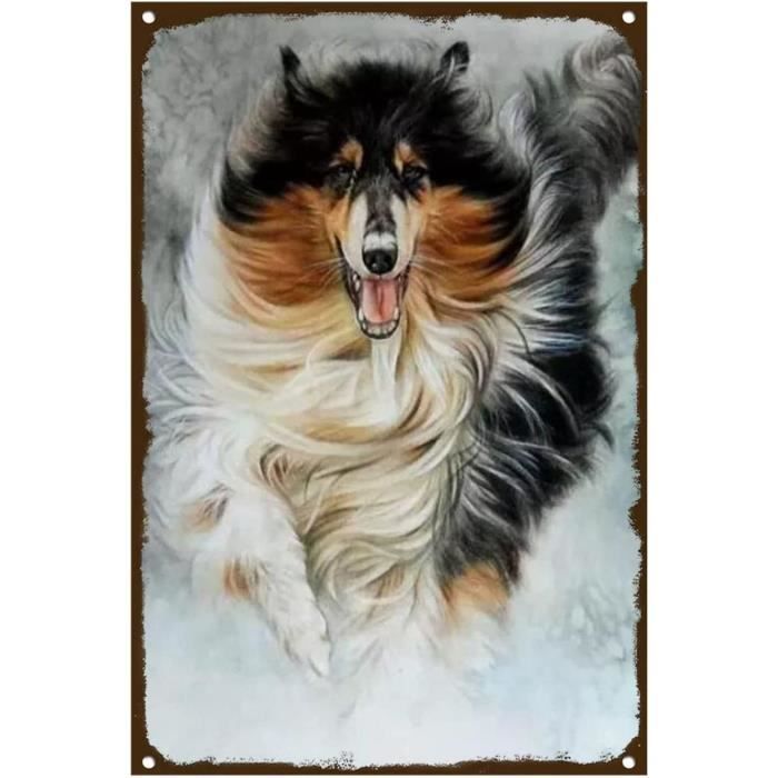 Plaque chien Border Collie bizarre Humour Je monte la garde panneau