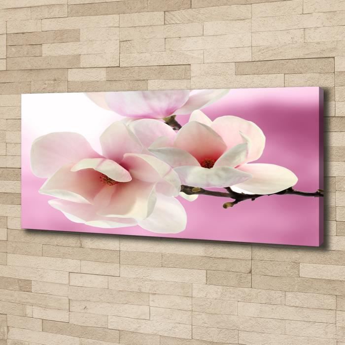 Orchidée Rose Rose Fleurs et Plantes Tulup Impression sur Verre de 120x60 cm Image Tableau Photo décorative panoramique pour la Cuisine et Le Salon