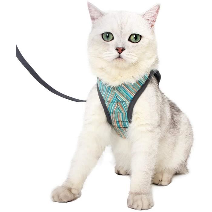 Harnais pour Chat Ensemble de Harnais et Laisse Chat UltraLéger Harnais Chaton Réglable Anti
