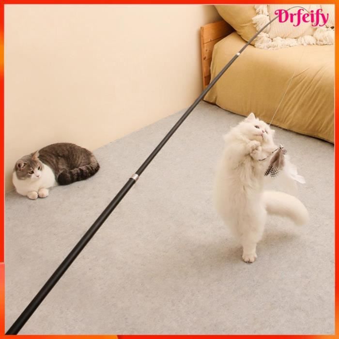 Meilleurs prix pour Canne à Pêche pour Chat - DRFEIFY - Tige en Fiber de Carbone Réglable - Jouet Interactif pour Chat