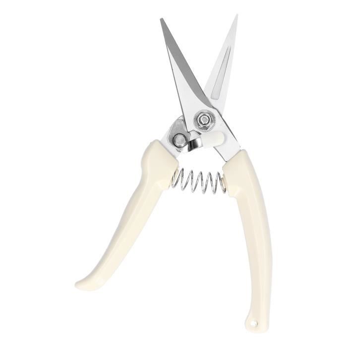 Rouleau De Papier Thermique Blanc ZOLL Pour Défibrillateur Série X Et X Avancé - 80 Mm