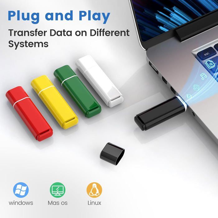 Lot De 5 Clé Usb 1 Go Avec Adaptateurs Type-C Cle Usb 1Gb Cléf Usb 2.0 ...