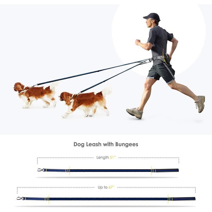 Laisse Chien Mains Libres Vert, Ceinture Ajustable Et Laisse Élastique