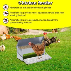 1 Jeu De Mangeoires Pour Poulets Mangeoires Automatiques Mangeoires Pour Poulets Mangeoires Pour Canards Mangeoires Pour Volailles 1 Jeu De Mangeoires Pour Poulets Mangeoires Automatiques Mangeoires Pour Poulets Mangeoires Pour Canards Mangeoires Pour Volailles
