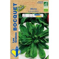 Sachet de  Mâche à grosse graine Bio- certifiée ECOCERT FR-BIO-01 - 3 g - légume feuille - LES GRAINES BOCQUET