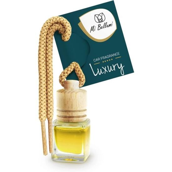 Désodorisant Voiture Parfum Pendentif Set - Parfum Voiture - Flacon De  Parfum Voiture Scents Freshener (Excite, 6 St)[u423]