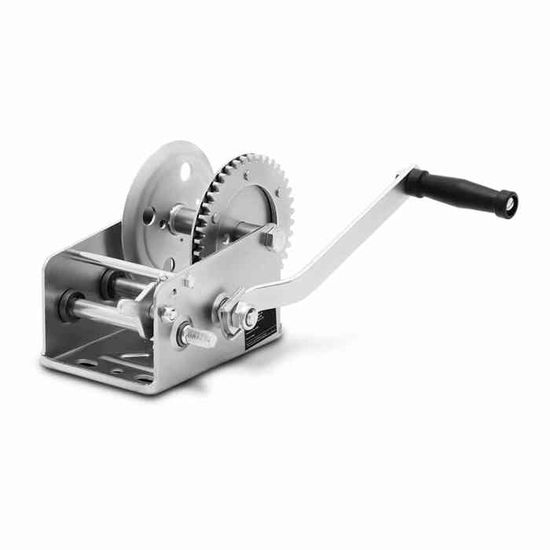 What To Do With A Fallen Bird Egg